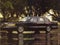 1993 Lincoln Town Car Cartier Designer